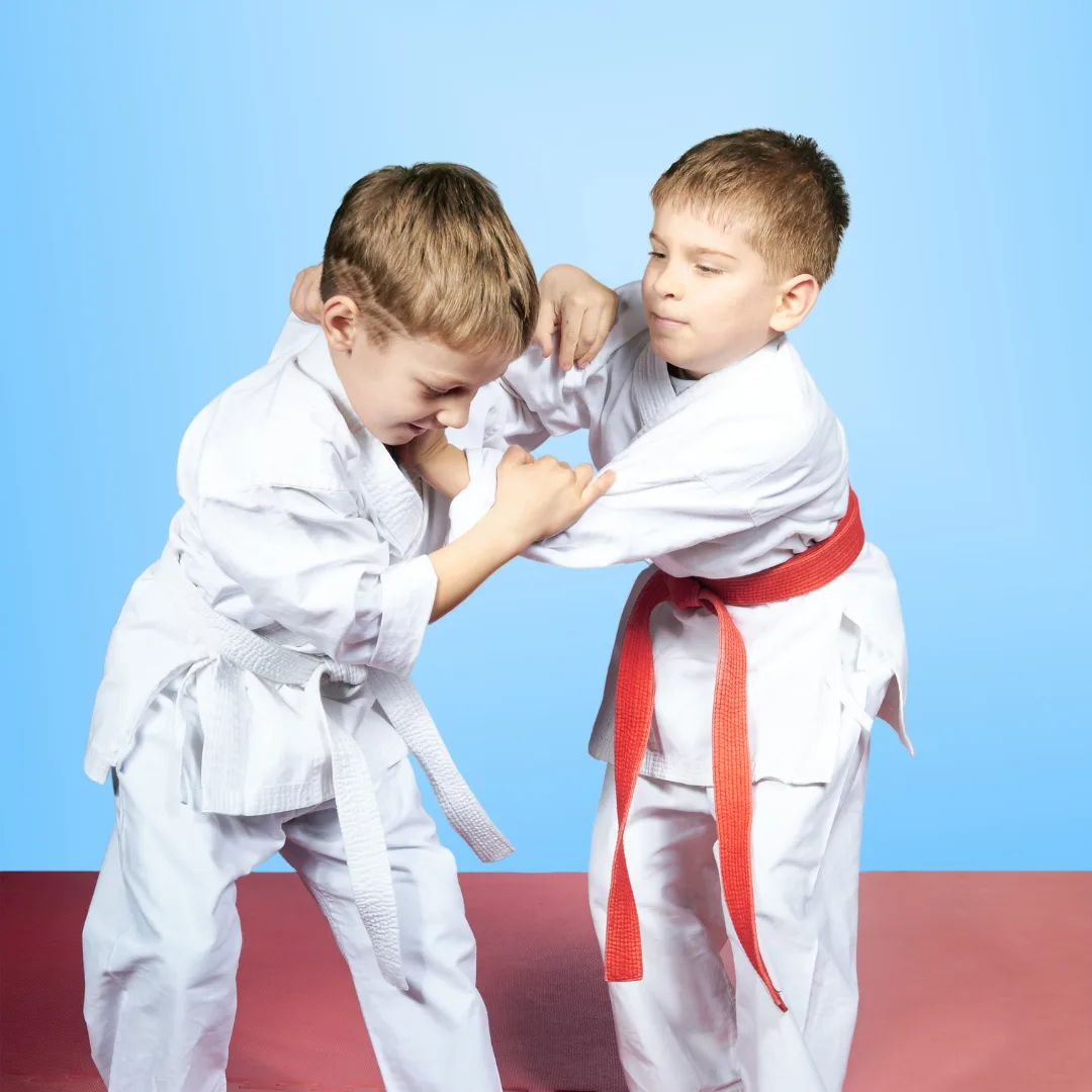 Judo at Le Dieweg Uccle